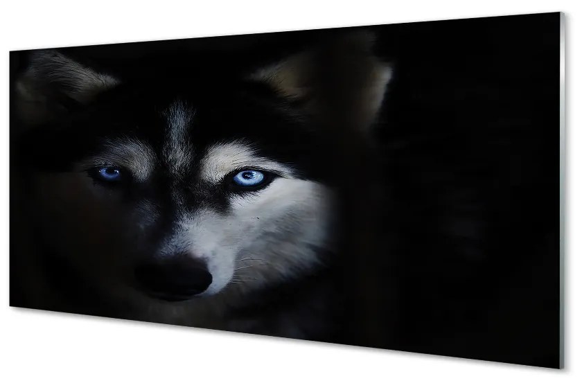 Obraz na akrylátovom skle Wolf eyes 125x50 cm