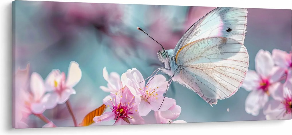 Obraz - Motýľ na čerešni (120x50 cm)