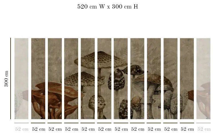 VLADILA Old Fungarium - tapeta