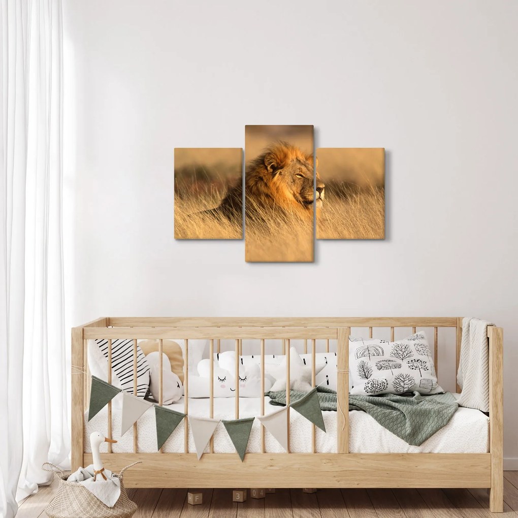 Obraz - Národný park Etosha (90x60 cm)