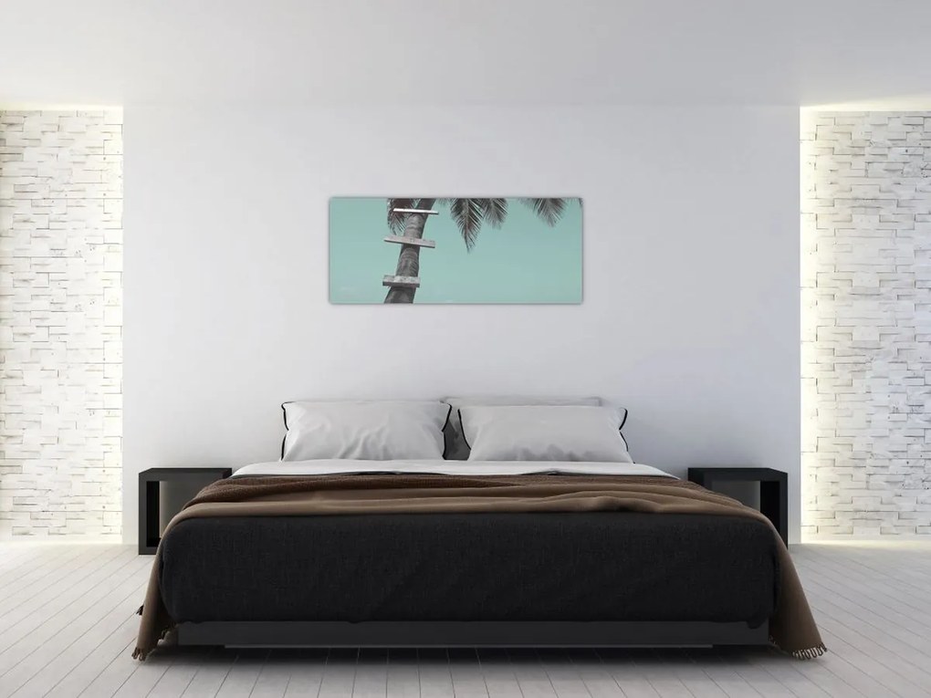 Obraz - Palma v Karibiku (120x50 cm)