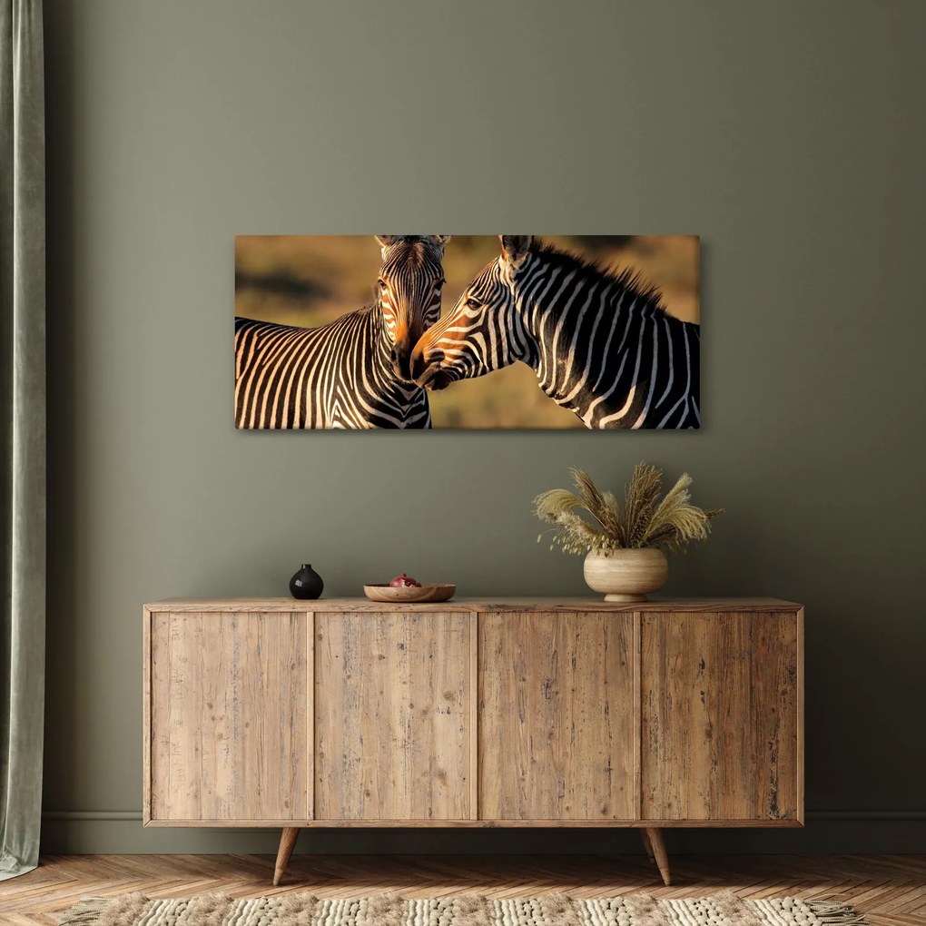 Obraz - Dve zebry (120x50 cm)