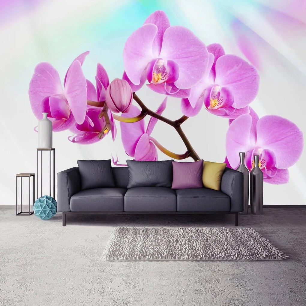 Fototapeta - Orchidea (152,5x104 cm)