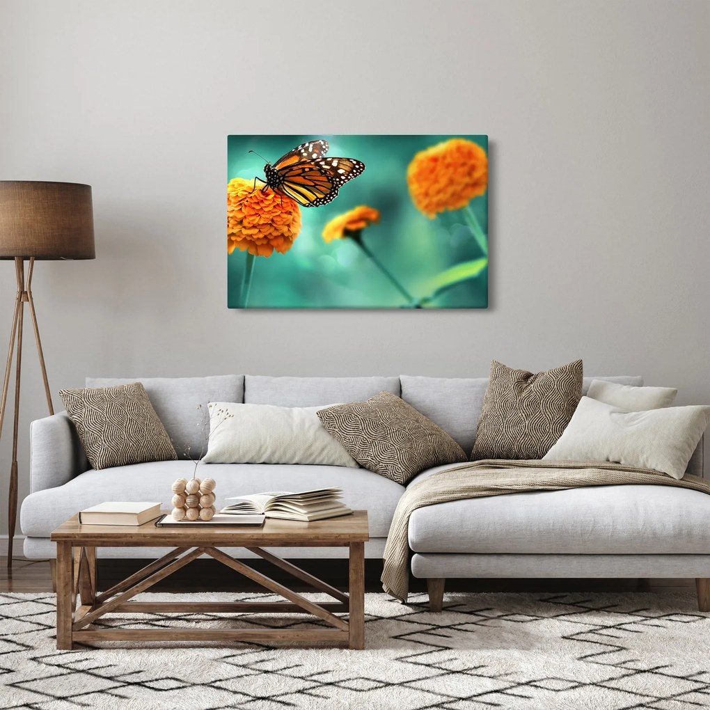 Obraz motýľa (90x60 cm)