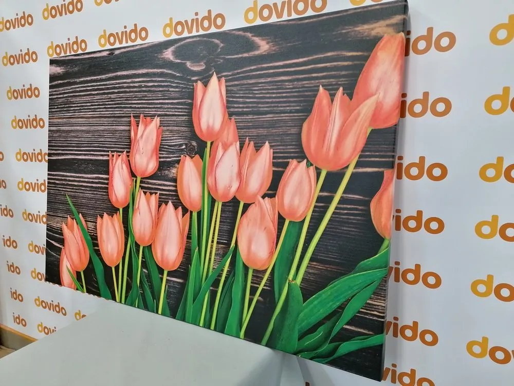 Obraz očarujúce oranžové tulipány na drevenom podklade