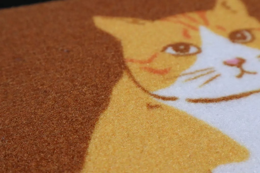 Mercury Flooring, Rohožka Bývame u svojej mačky 40x60 cm, 40x60, oranžová