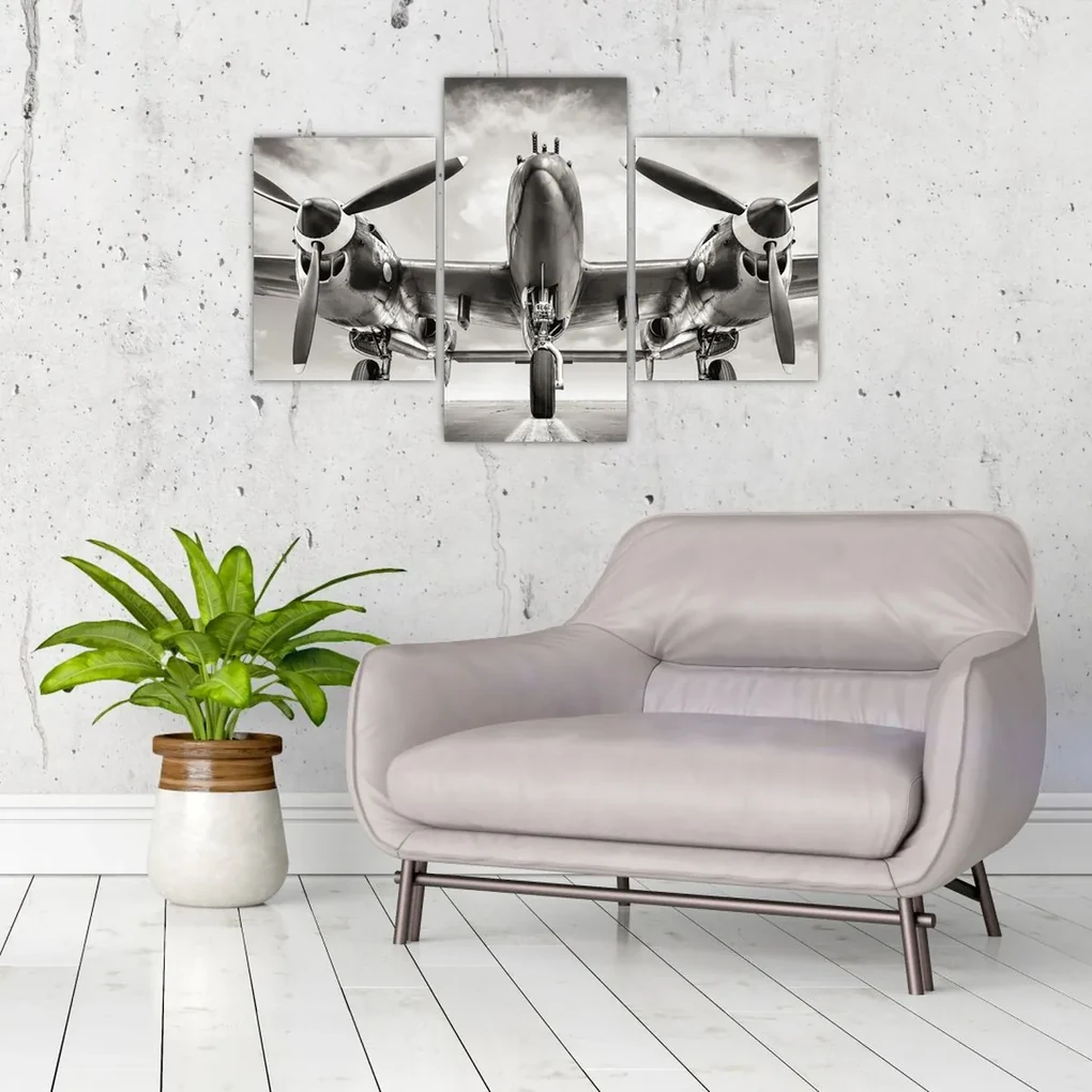 Obraz - Warbird (90x60 cm)