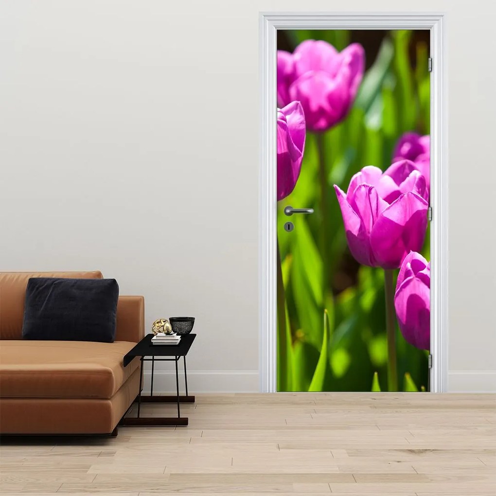 Fototapeta na dvere - Tulipány na lúke (95x205cm)