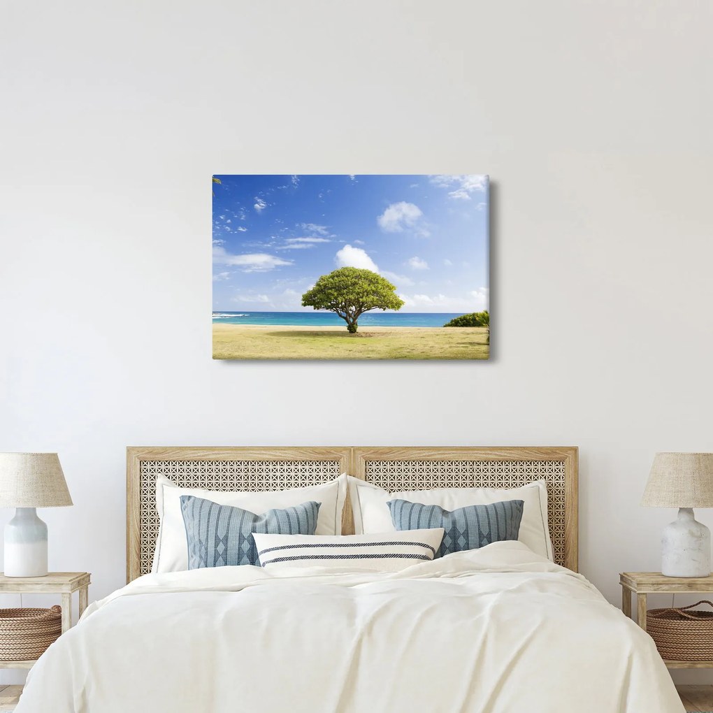 Obraz pláže so stromom (90x60 cm)