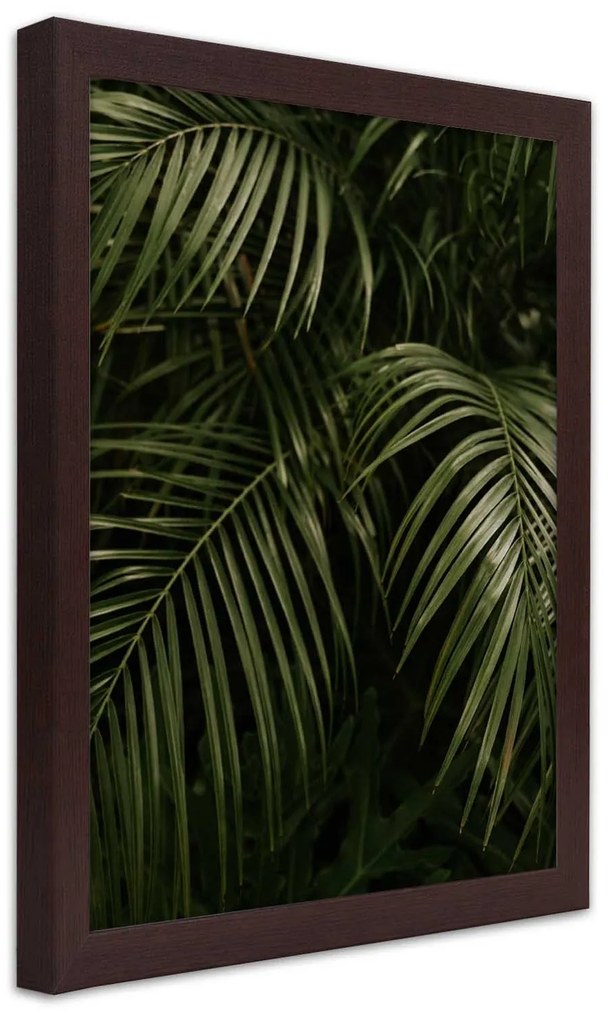 Gario Plagát Exotické palmové listy Farba rámu: Bez rámu, Rozmery: 40 x 60 cm
