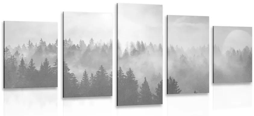5-dielny obraz hmla nad lesom v čiernobielom prevedení - 200x100