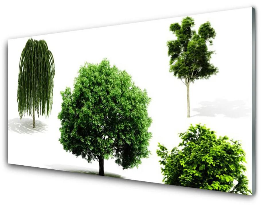 Obraz plexi Stromy príroda 120x60 cm