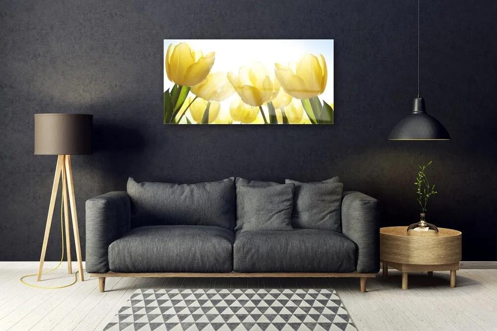Skleneny obraz Tulipány kvety lúče 125x50 cm
