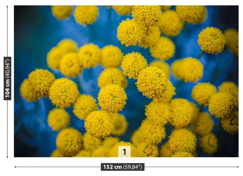 Fototapeta Vliesová Žlté kvety 416x254 cm