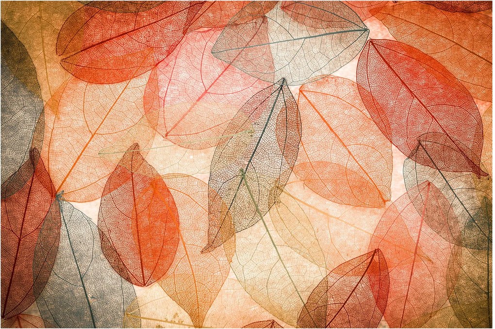 Obraz maľovaného jesenného lístia (90x60 cm)