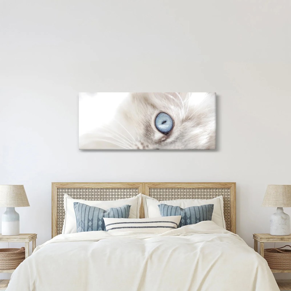 Obraz - Mačka s modrými očami (120x50 cm)