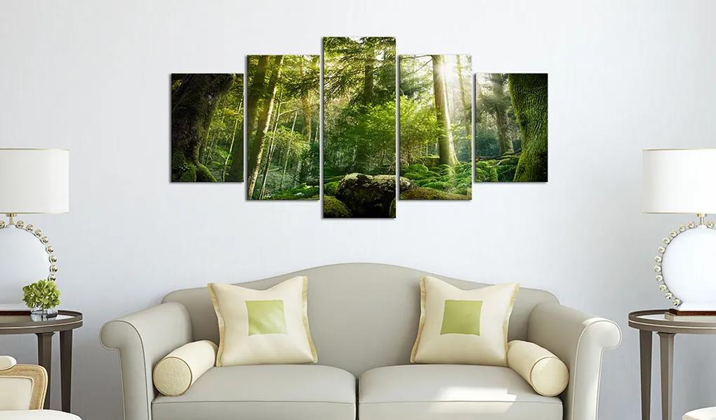 Artgeist Obraz - The Beauty of the Forest Veľkosť: 200x100, Verzia: Na talianskom plátne