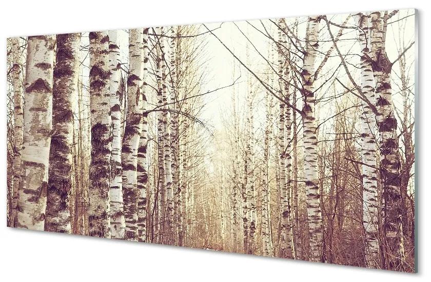 Sklenený obraz stromy 125x50 cm