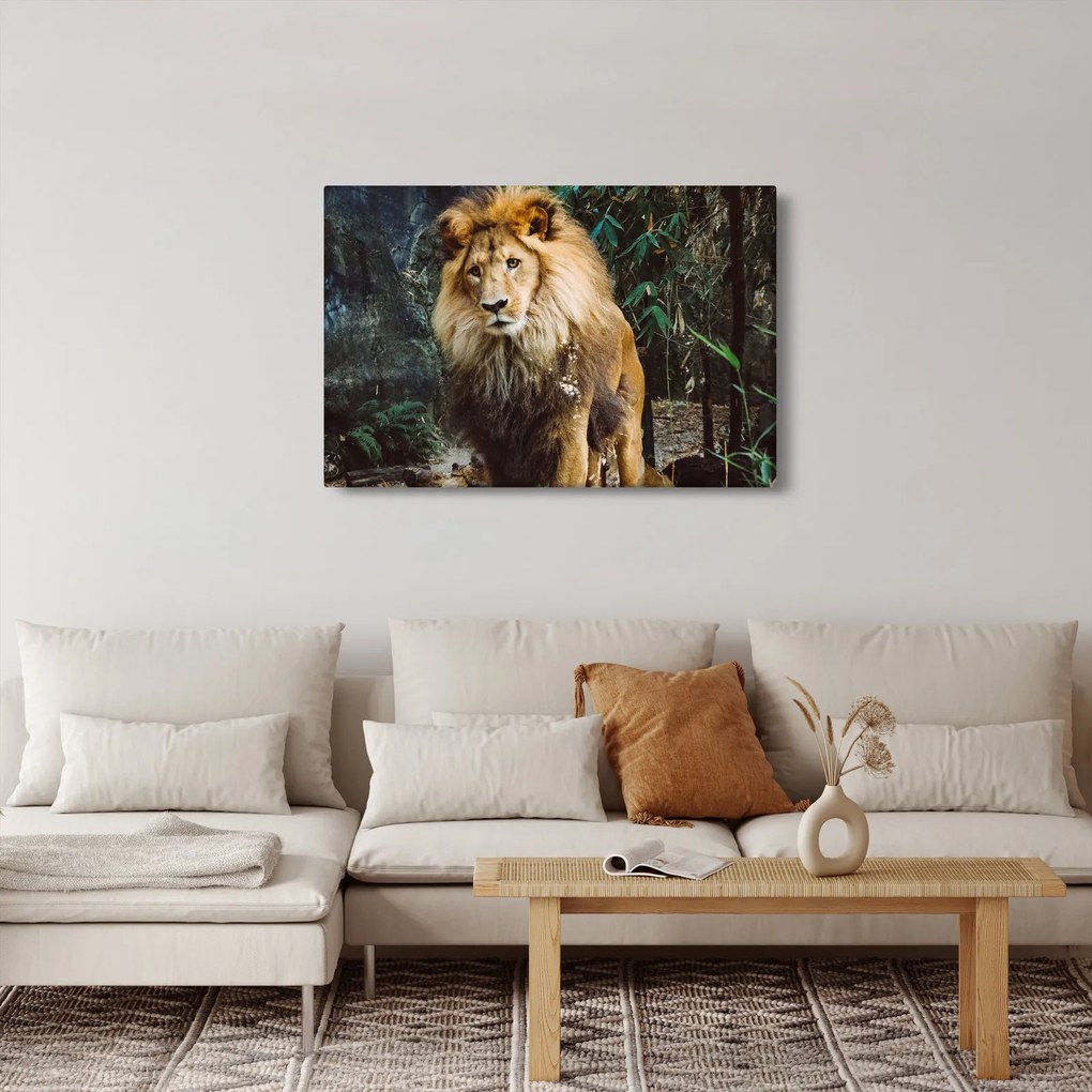 Obraz leva v prírode (90x60 cm)