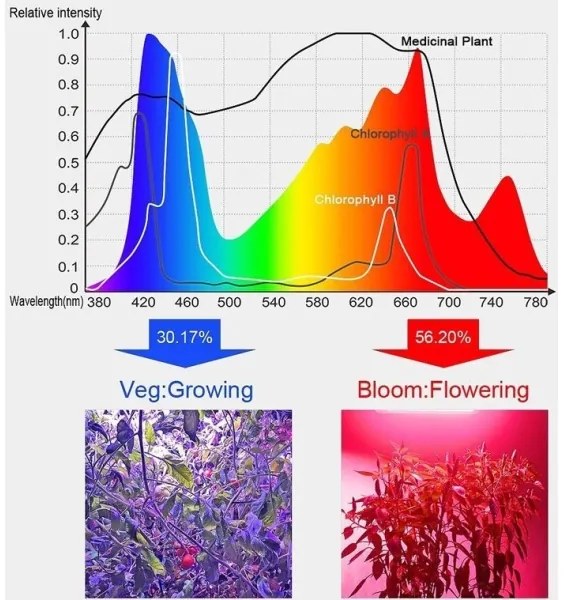 LED Závesné svietidlo na pestovanie rastlín LED/24W/230V IP44