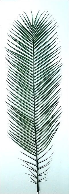 Umelá ďatlová palma 250cm