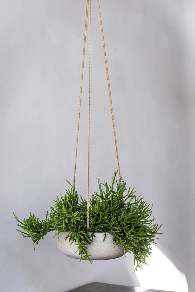 Dekoračná miska PERA, sklolaminát, Ø 24 cm, béžová