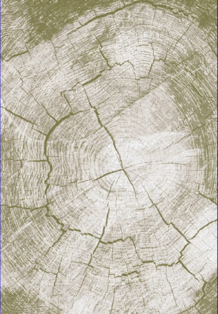 TA Koberec RE41E SVETLO BÉŽOVÁ COMO YAT Rozmer: 80x150 cm