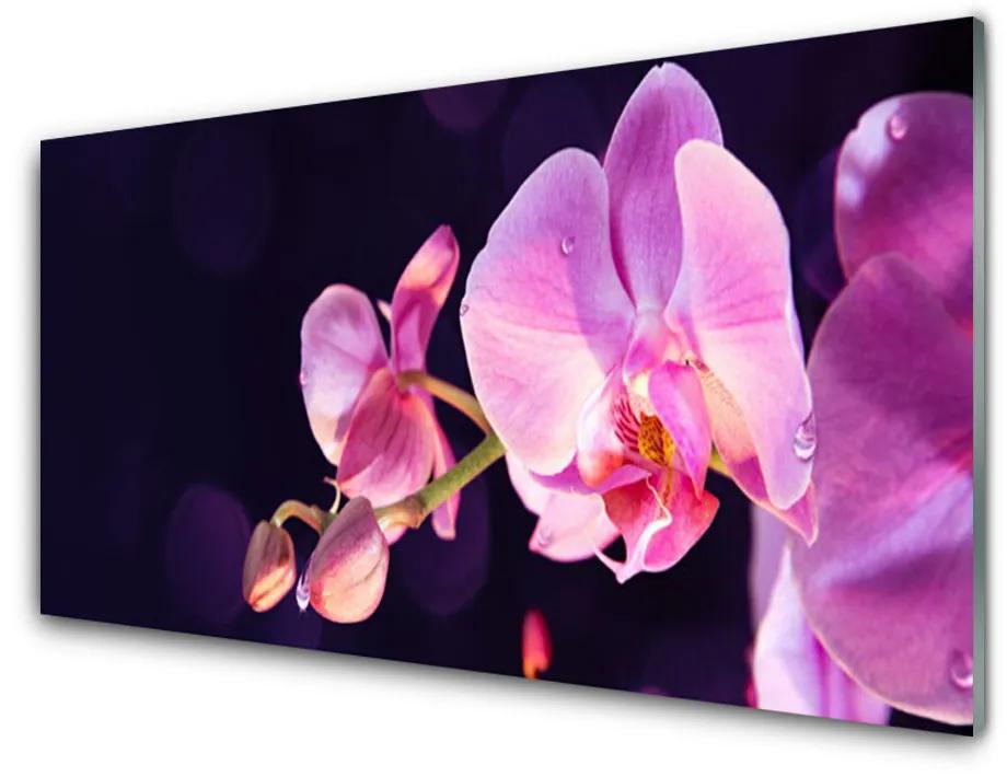Obraz na akrylátovom skle Kvety rastlina 100x50cm