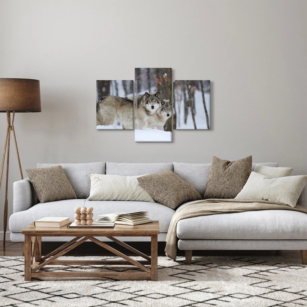 Obraz - Vlci v zime (90x60 cm)