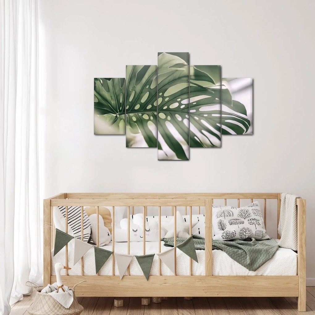 Obraz - List monštier (150x105 cm)