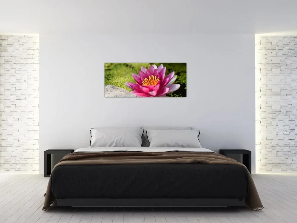 Obraz - Lekno (120x50 cm)