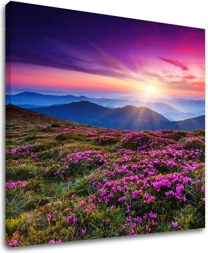 Obraz na stenu KRAJINA