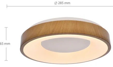 Brilagi - LED Stropné svietidlo DORIA LED/24W/230V