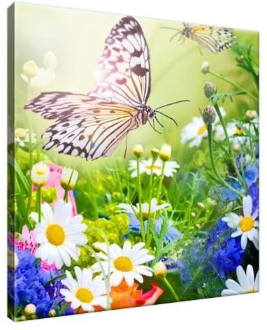 Obraz na plátne Motýle a kvety v krásnej záhrade 30x30cm 2220A_1AI