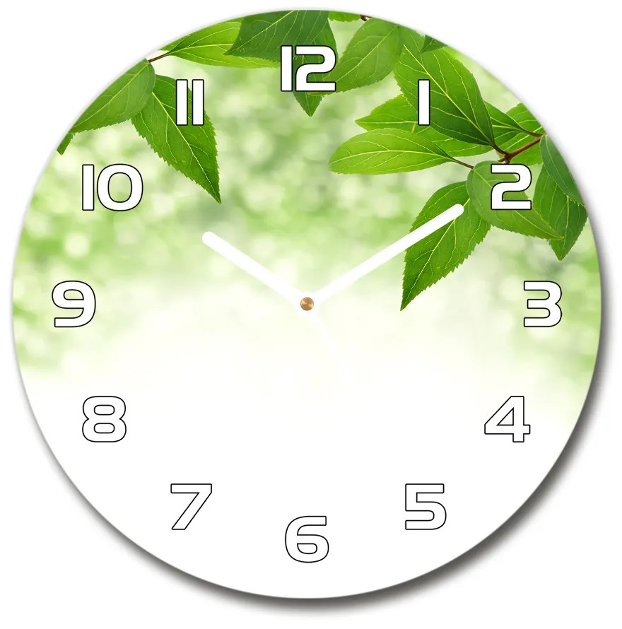 Sklenené hodiny okrúhle Zelená lístia pl_zso_30_f_51811576
