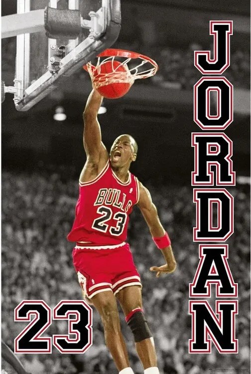 Plagát, Obraz - Michael Jordan, (61 x 91.5 cm)