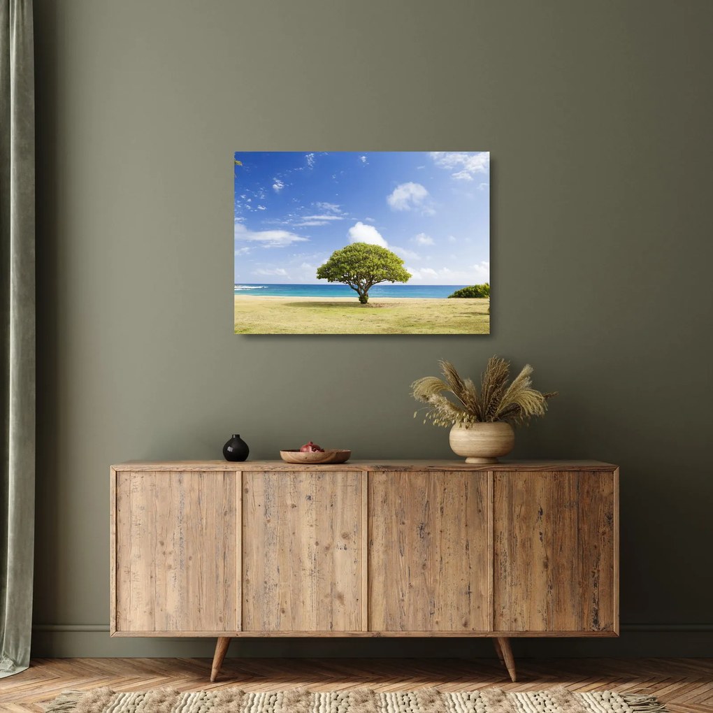 Sklenený obraz pláže so stromom (70x50 cm)