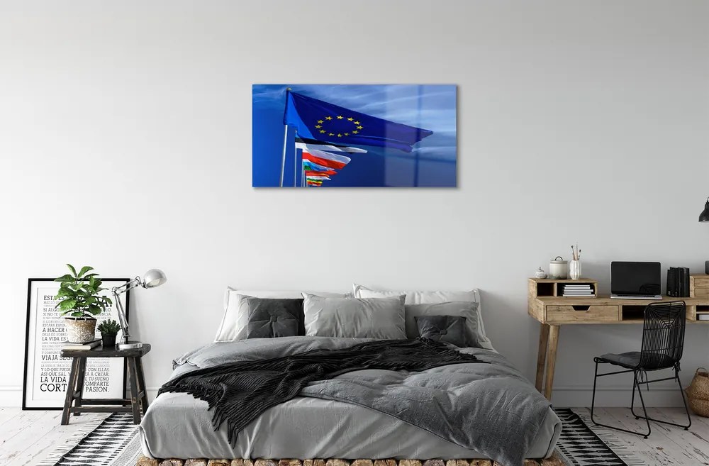 Obraz plexi Rôzne vlajky 100x50 cm