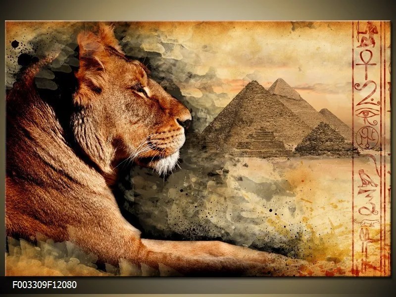 Obraz na plátne Levica a pyramídy, Obdĺžnik 120x80cm 87,92 €