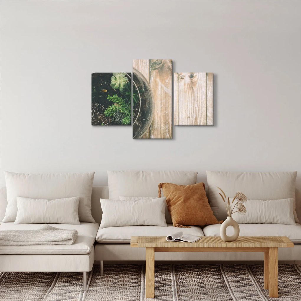 Obraz sukulentov v skle (90x60 cm)