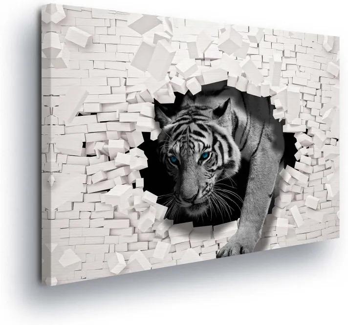 GLIX Obraz na plátne - Tiger behind the Wall 100x75 cm