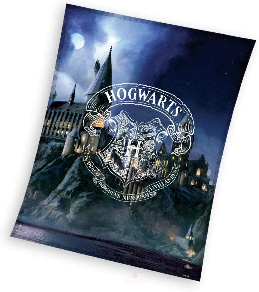 Detská deka Harry Potter Rokfortská škola 130x170 cm
