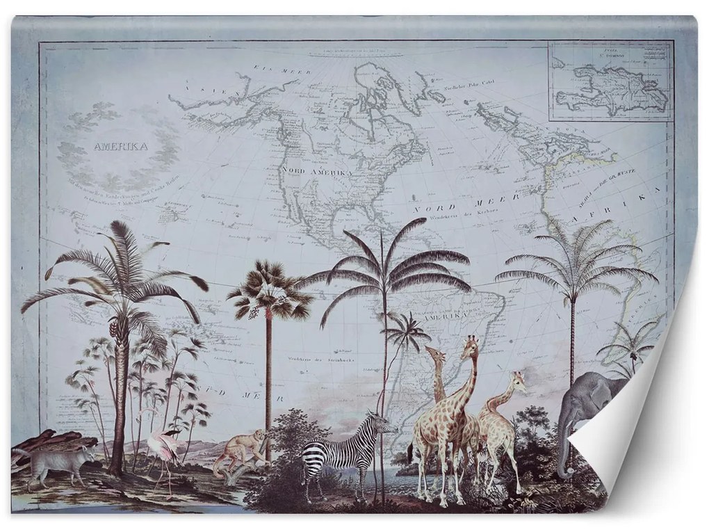 Gario Fototapeta Stará mapa a savana - Andrea Haase Materiál: Vliesová, Rozmery: 300 x 210 cm