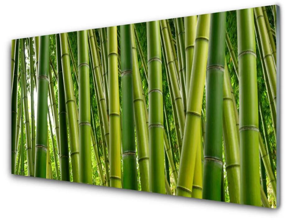 Obraz plexi Bambusový les bambusové výhonky 125x50 cm