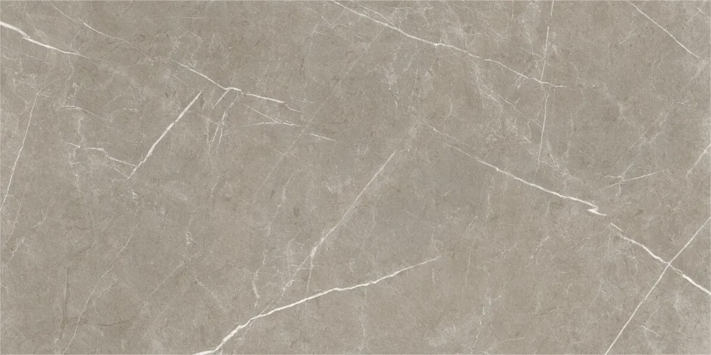 Dlažba Eternal Taupe Natural 60x120 R