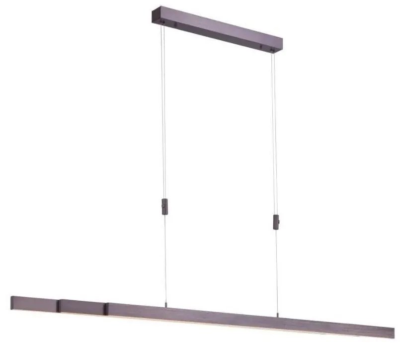 Paul Neuhaus 2568-24 - LED Stmievateľný luster na lanku ADRIANA LED/14W/230V