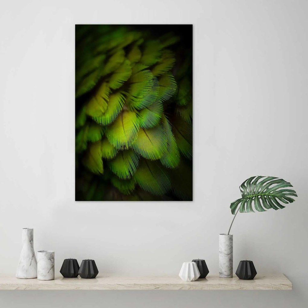 Gario Plagát Abstrakt zo zeleného peria Farba rámu: Čierna, Rozmery: 70 x 100 cm