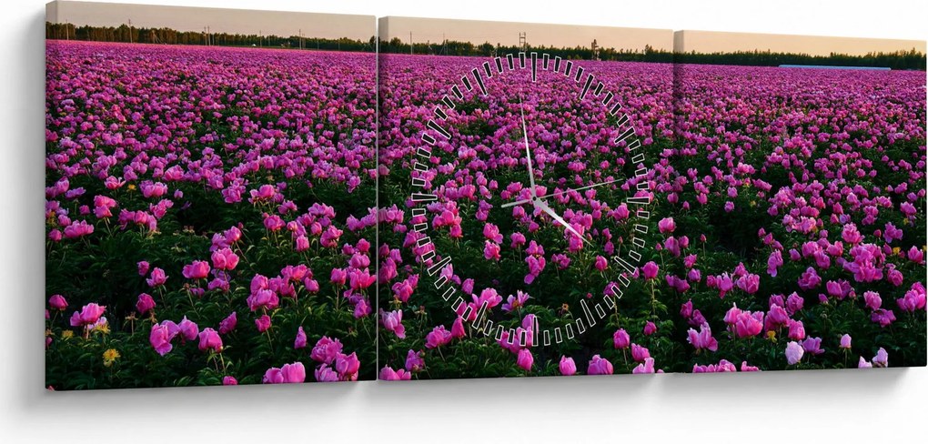 Obraz - Lúka fialových tulipánov (s hodinami) (90x30 cm)