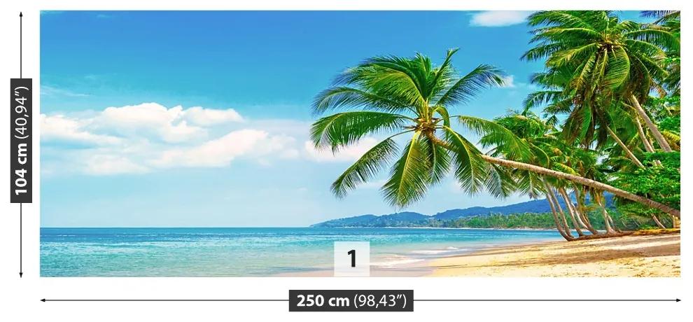 Fototapeta Vliesová Palm beach 152x104 cm
