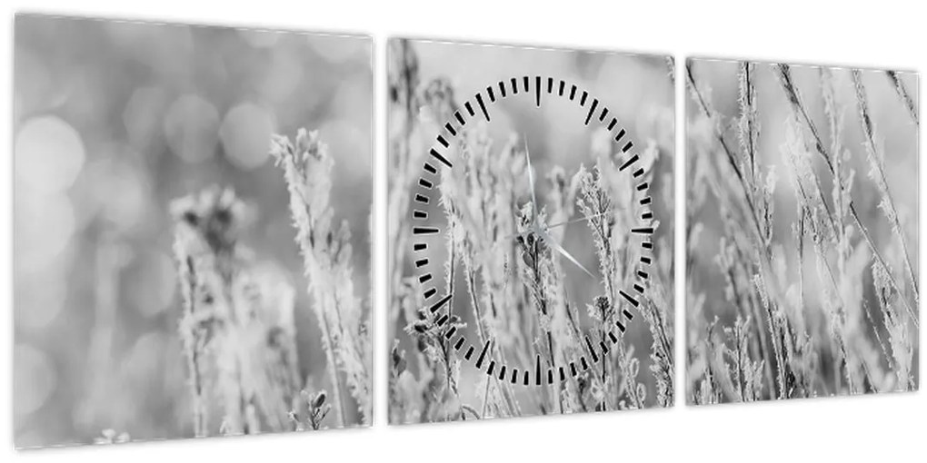 Obraz - Chladná zima (s hodinami) (90x30 cm)